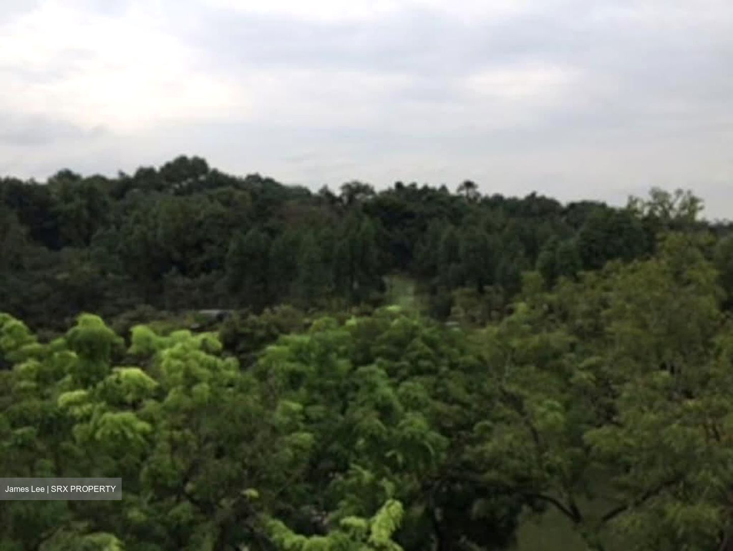 Blk 126 Ang Mo Kio Avenue 3 (Ang Mo Kio), HDB 3 Rooms #571144741